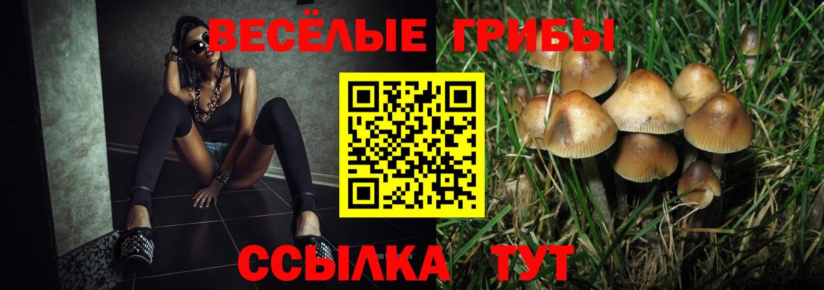 Галлюциногенные грибы мицелий  Вход с VPN  где продают наркотики  Ржев 